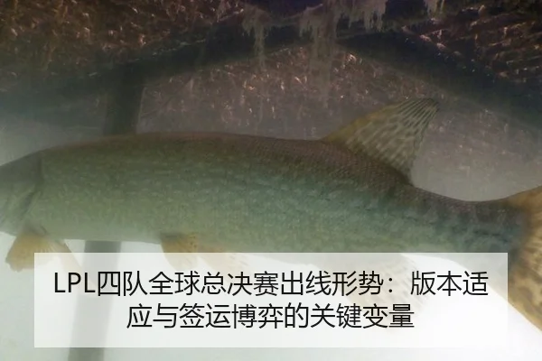 LPL四队全球总决赛出线形势：版本适应与签运博弈的关键变量